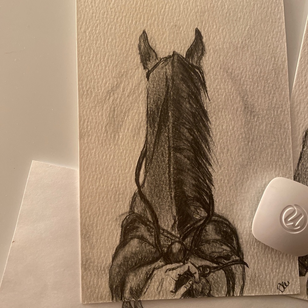 Horse drawing